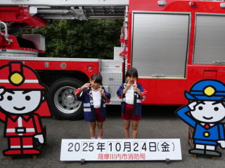 �h�Ћ����i�c�N���h�N���u�j