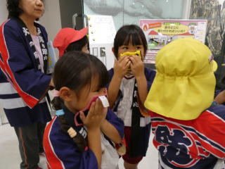 �h�Ћ����i�c�N���h�N���u�j