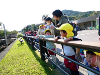 �e�q����