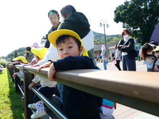 �e�q����