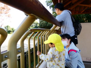 �e�q����